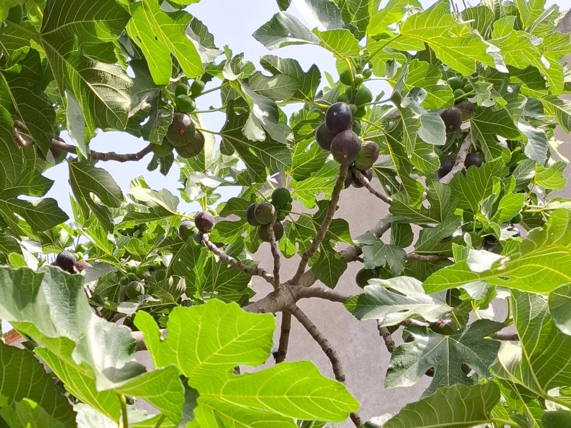 Vila Noar Vlorë Exterior foto